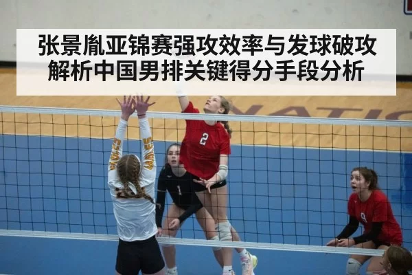 张景胤亚锦赛强攻效率与发球破攻解析中国男排关键得分手段分析